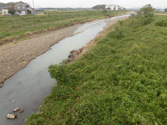 イメージ 6