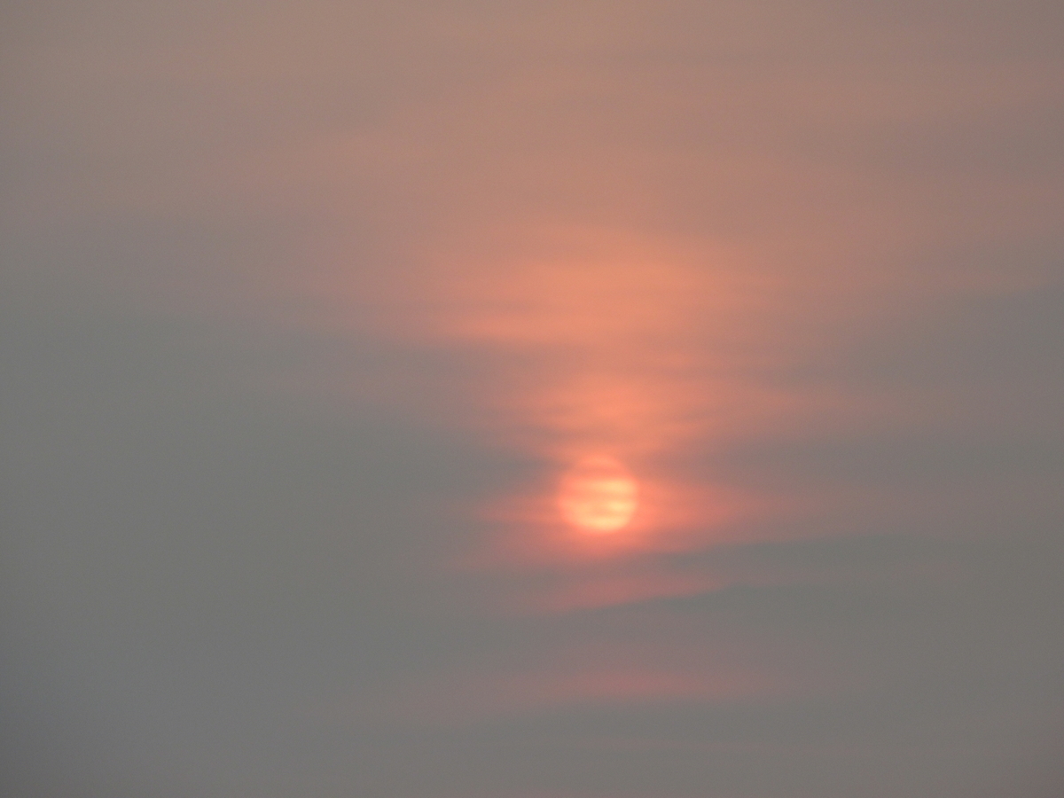 f:id:gashuu:20190827145136j:plain