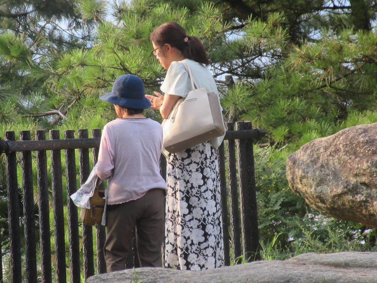 f:id:gashuu:20190829221230j:plain