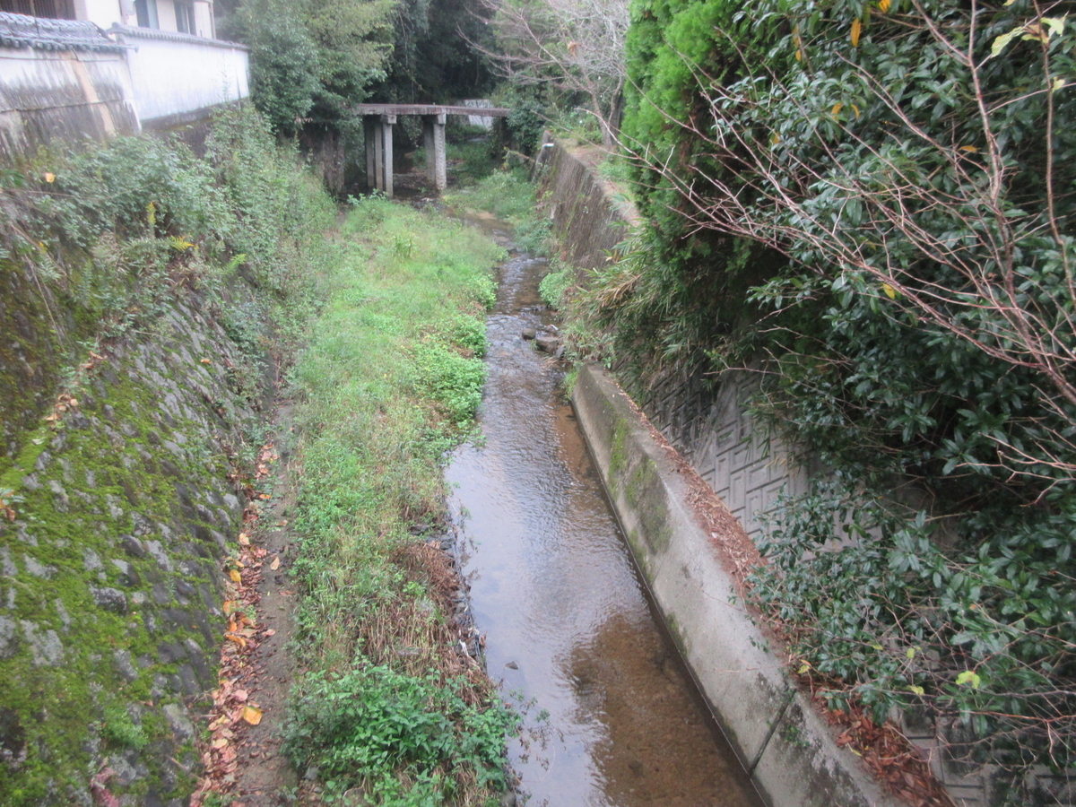 f:id:gashuu:20191008154216j:plain