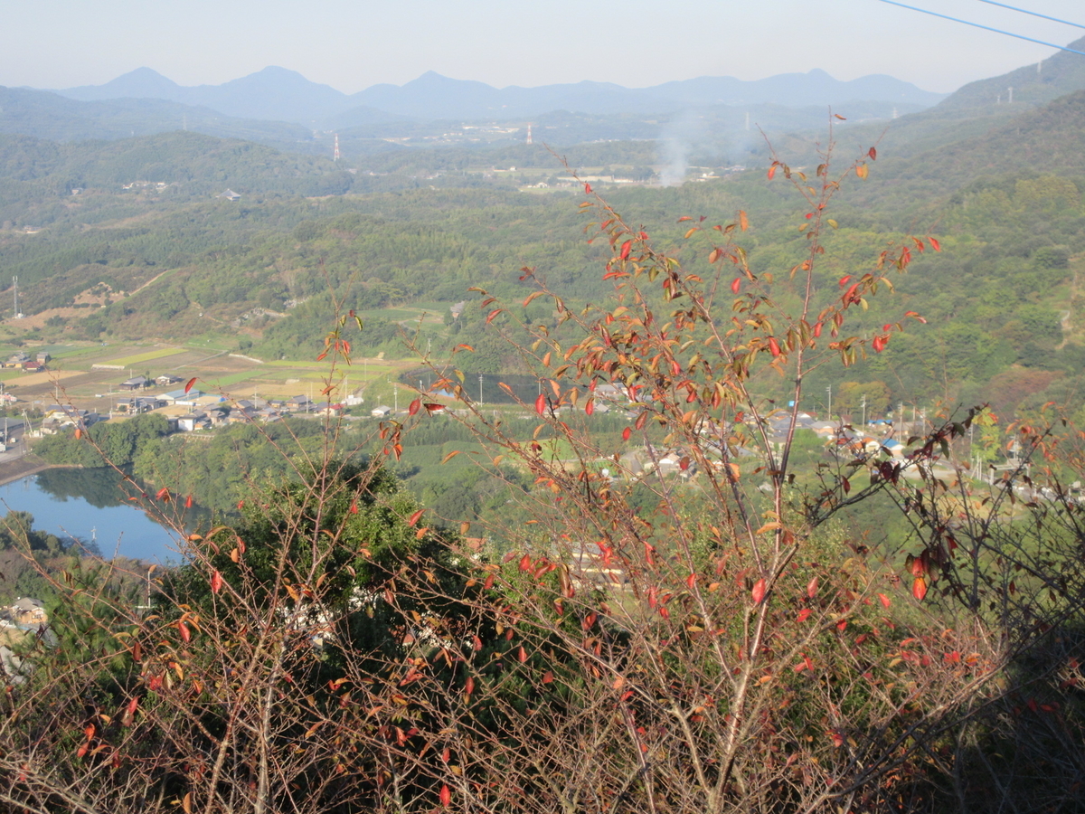 f:id:gashuu:20191101070023j:plain