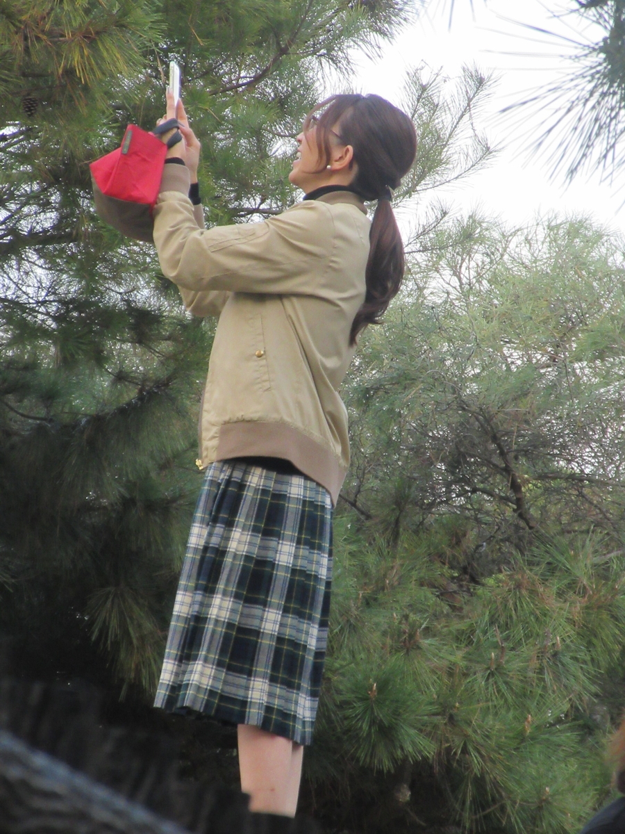 f:id:gashuu:20191117172116j:plain