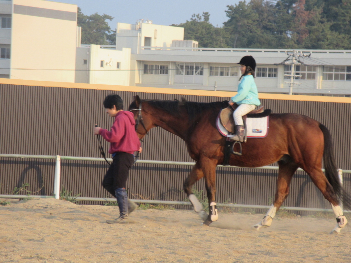 f:id:gashuu:20191117172624j:plain