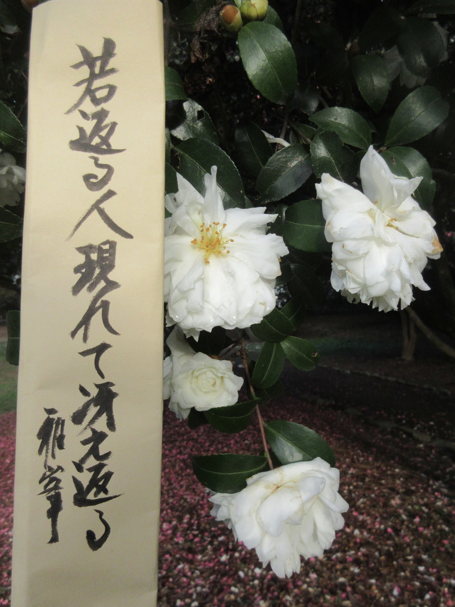 f:id:gashuu:20191128172446j:plain