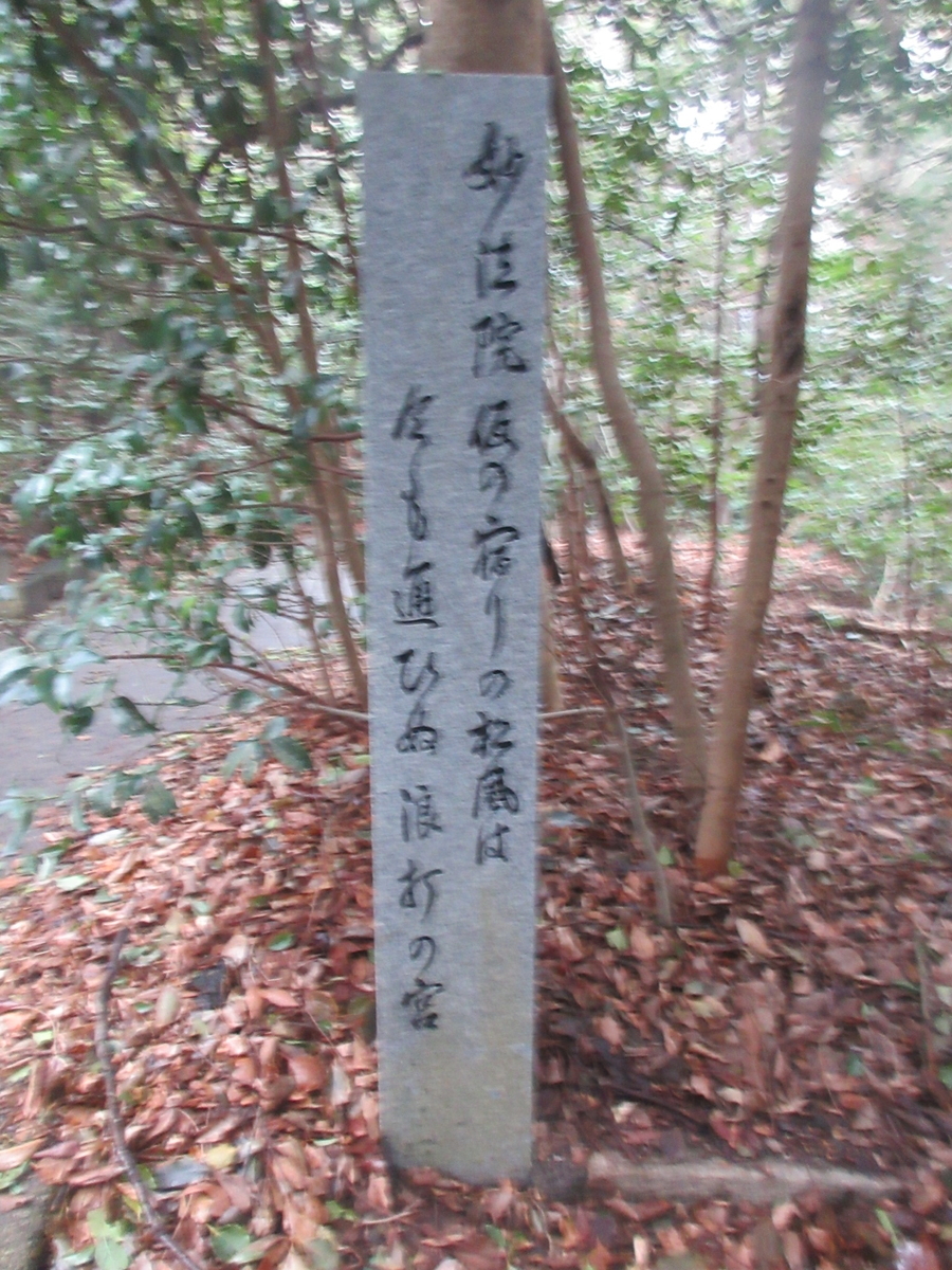 f:id:gashuu:20200128145802j:plain