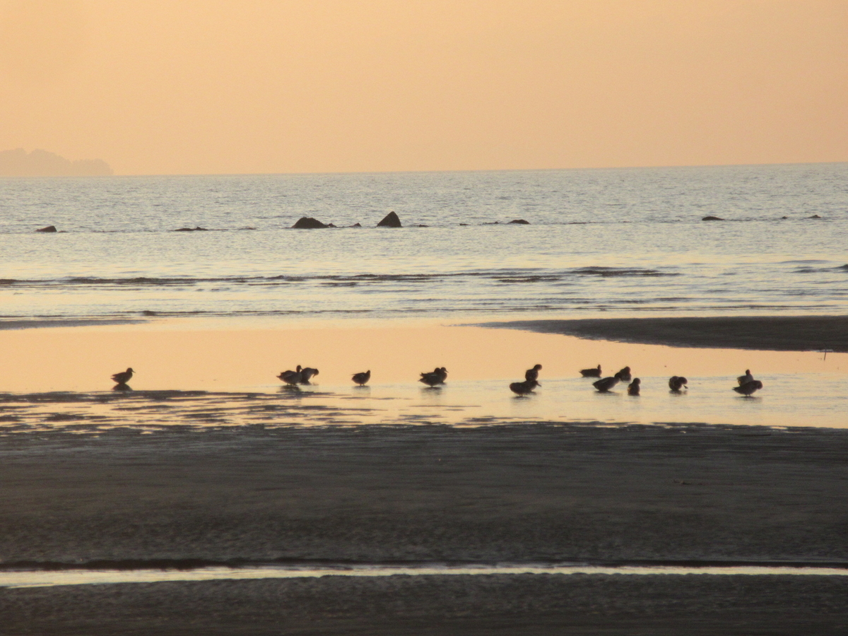 瀬戸内海 燧灘 西讃岐 花稲海岸の夕景色 剣持雅舟のブログ