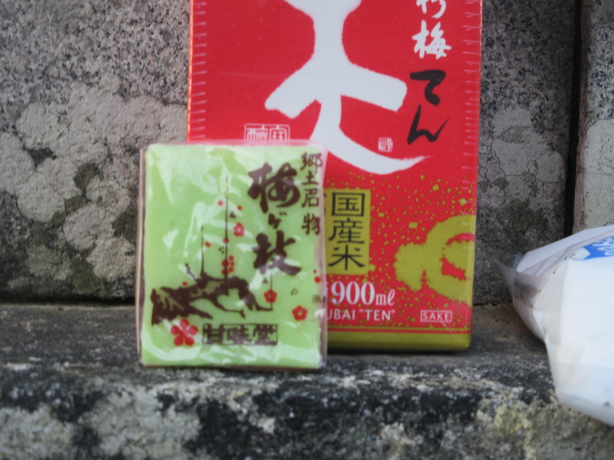 f:id:gashuu:20200221192300j:plain