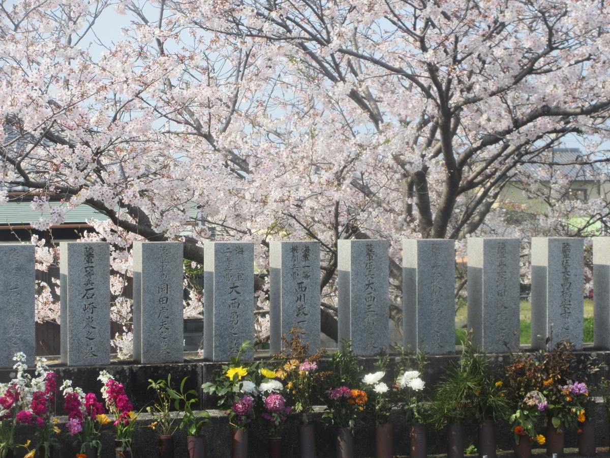 f:id:gashuu:20200408220352j:plain