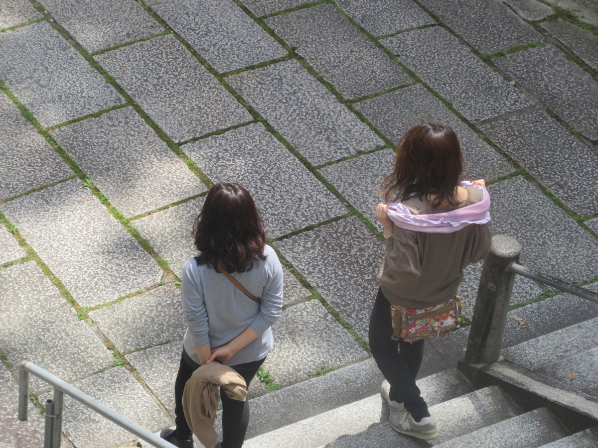 f:id:gashuu:20200419123132j:plain