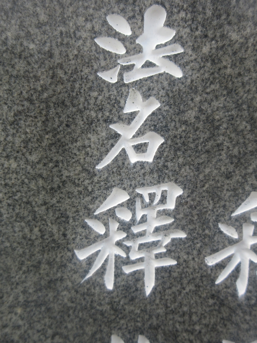 f:id:gashuu:20200519155541j:plain