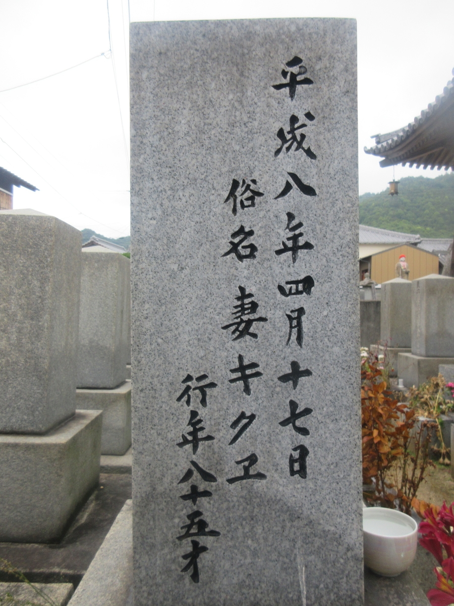 f:id:gashuu:20200519201636j:plain