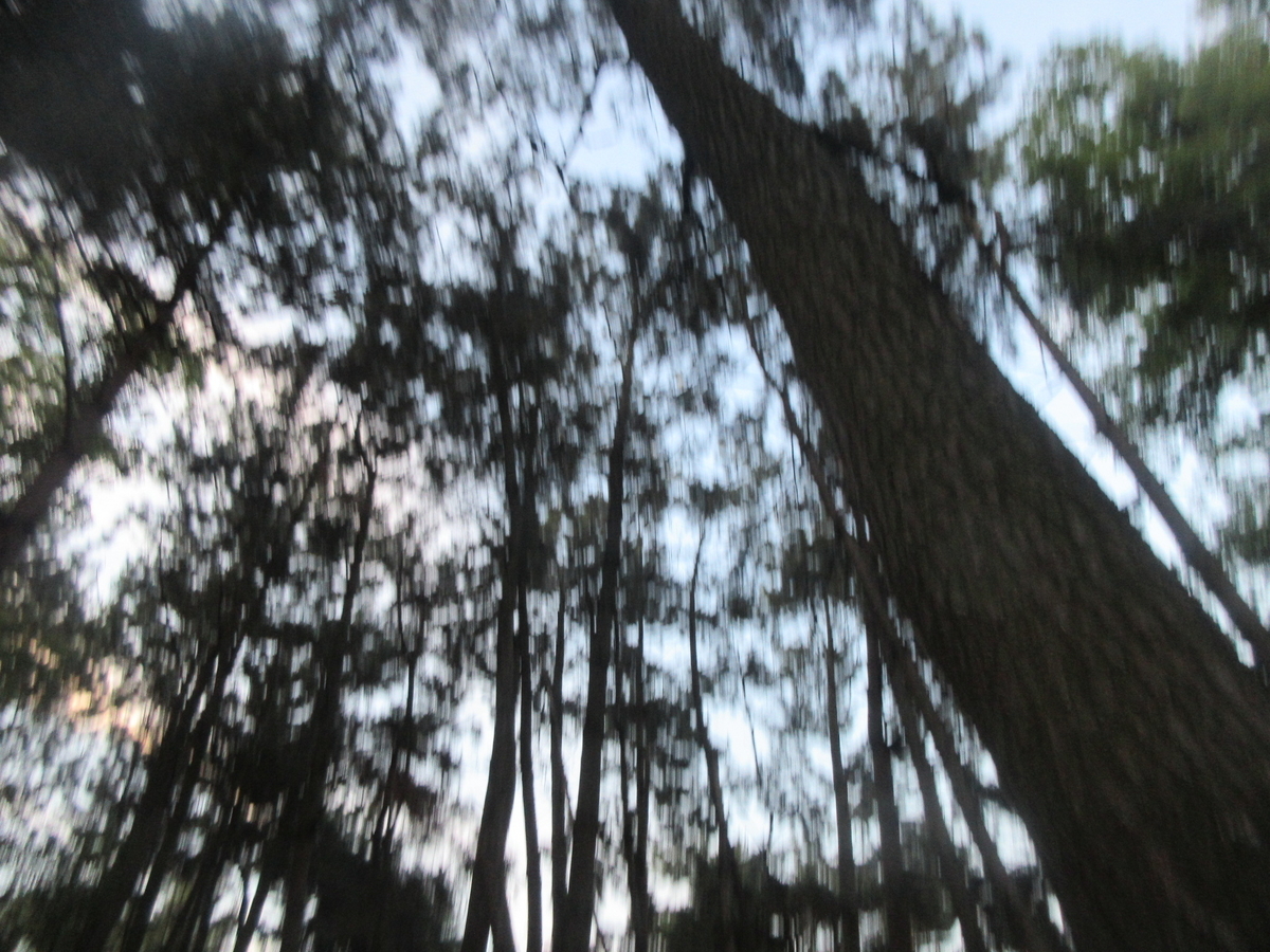 f:id:gashuu:20200604203027j:plain
