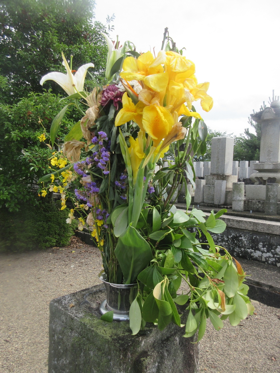 f:id:gashuu:20200627202446j:plain