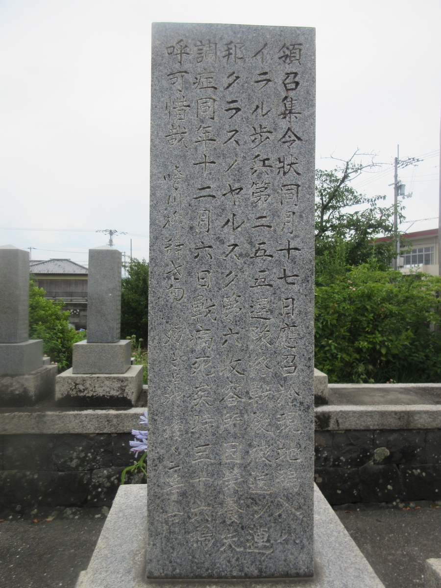 f:id:gashuu:20200628172005j:plain