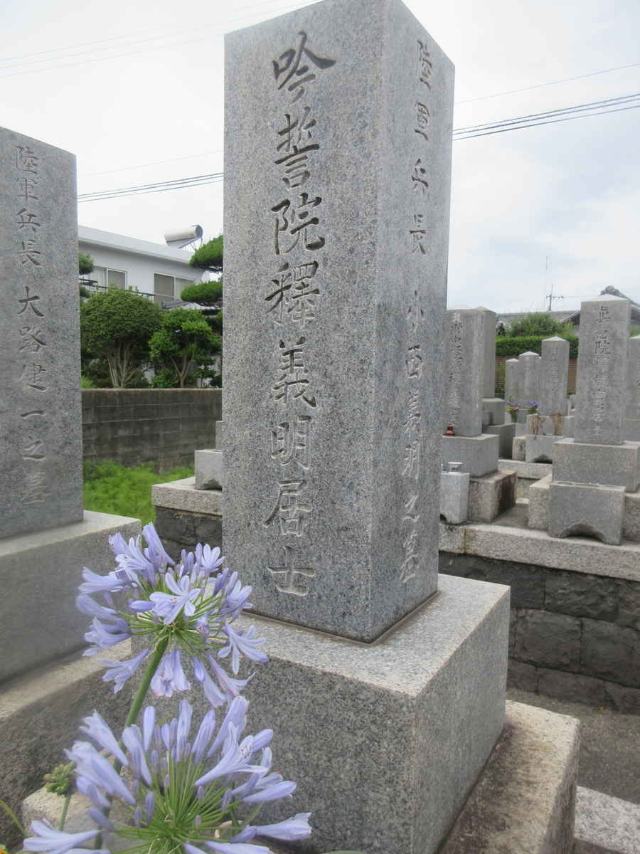 f:id:gashuu:20200628173153j:plain