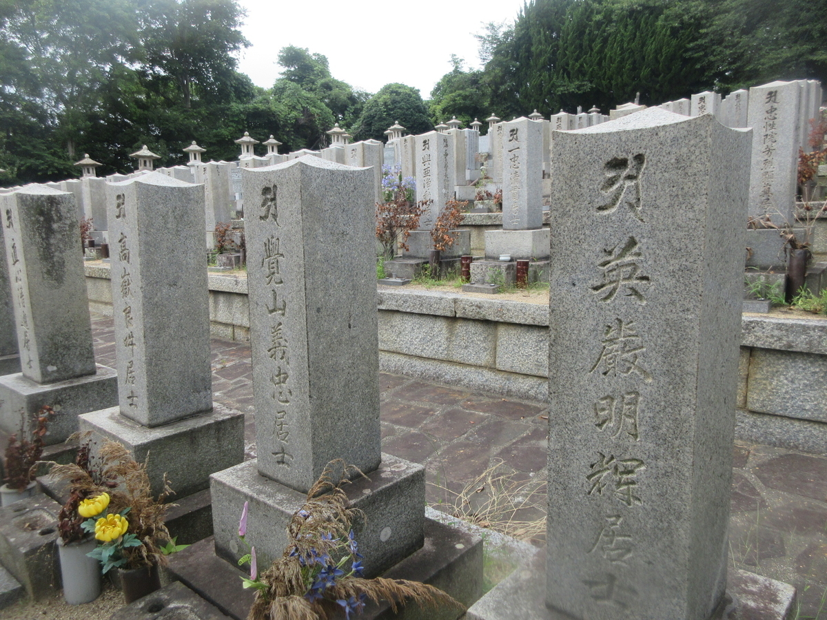 f:id:gashuu:20200629180208j:plain