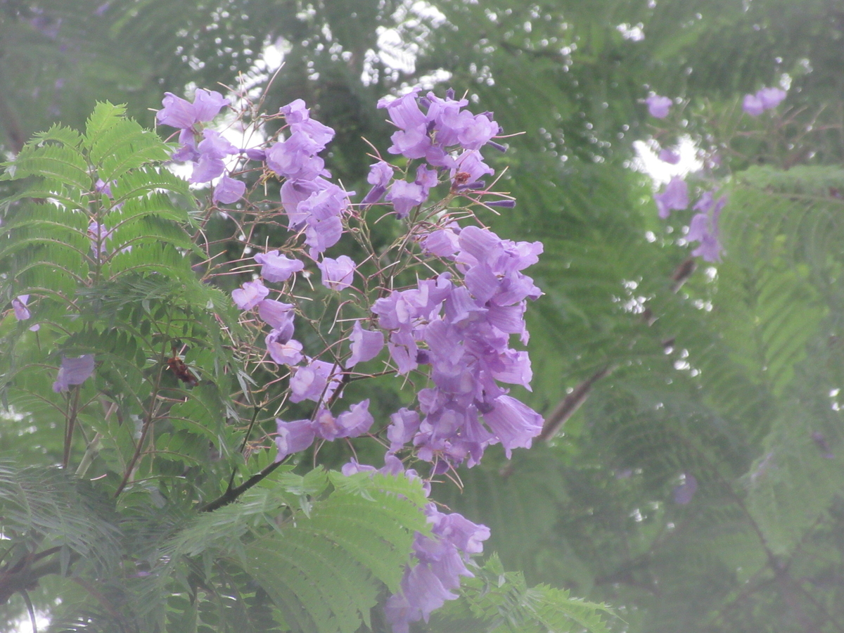 f:id:gashuu:20200630221333j:plain