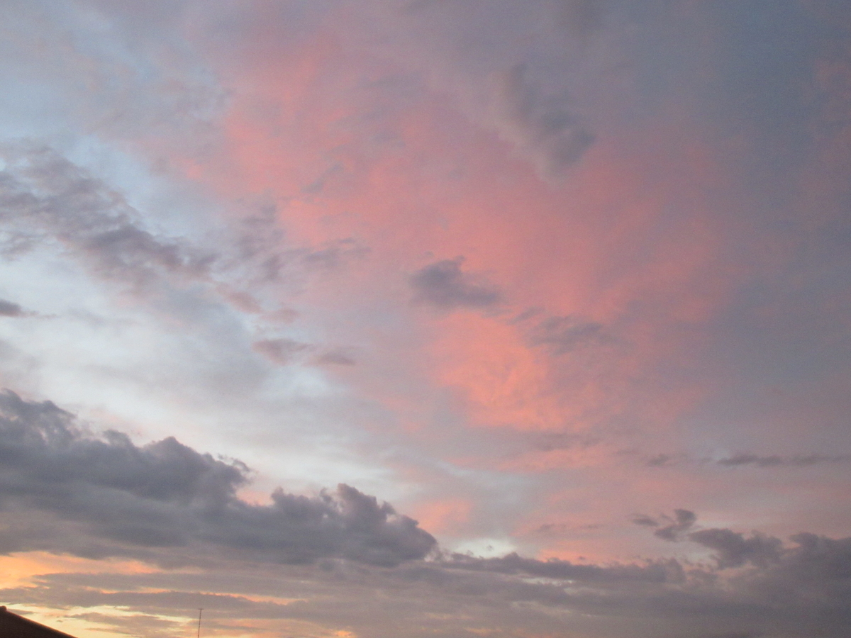 f:id:gashuu:20200630222852j:plain