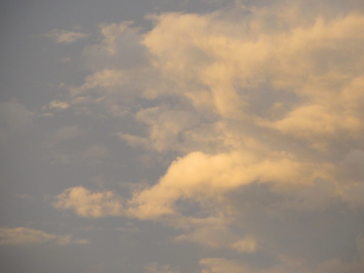 f:id:gashuu:20200701053659j:plain