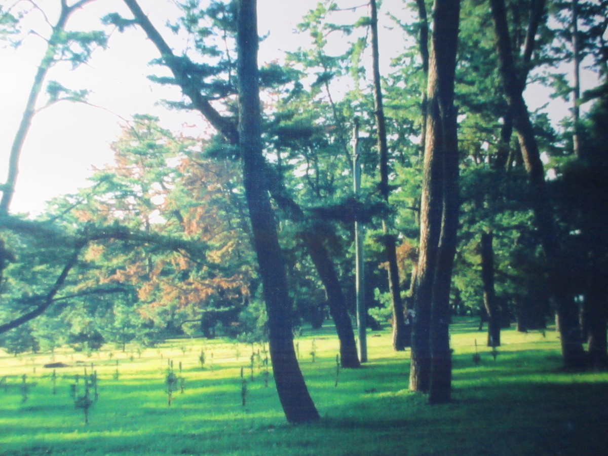 f:id:gashuu:20200727212730j:plain