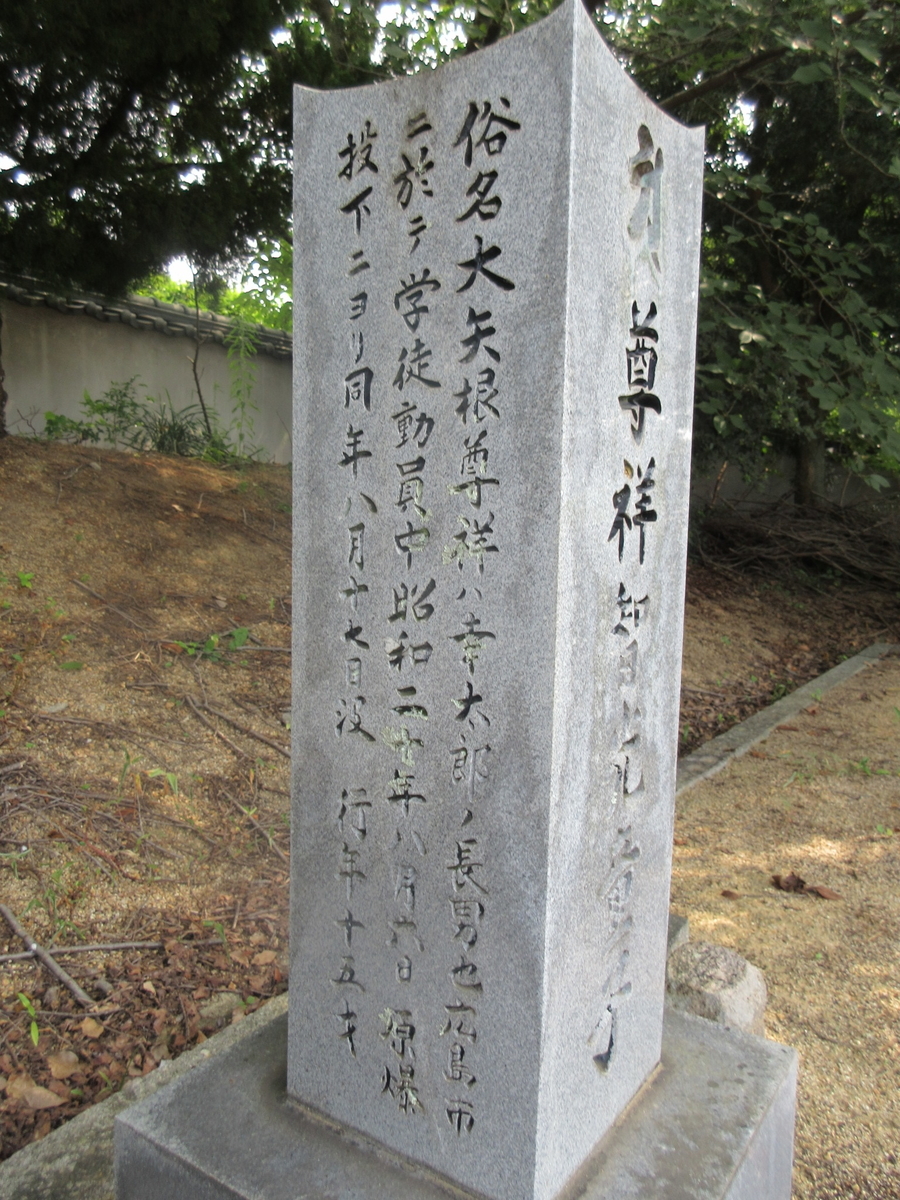 f:id:gashuu:20200803164100j:plain f:id:gashuu:20200803164100j:plain