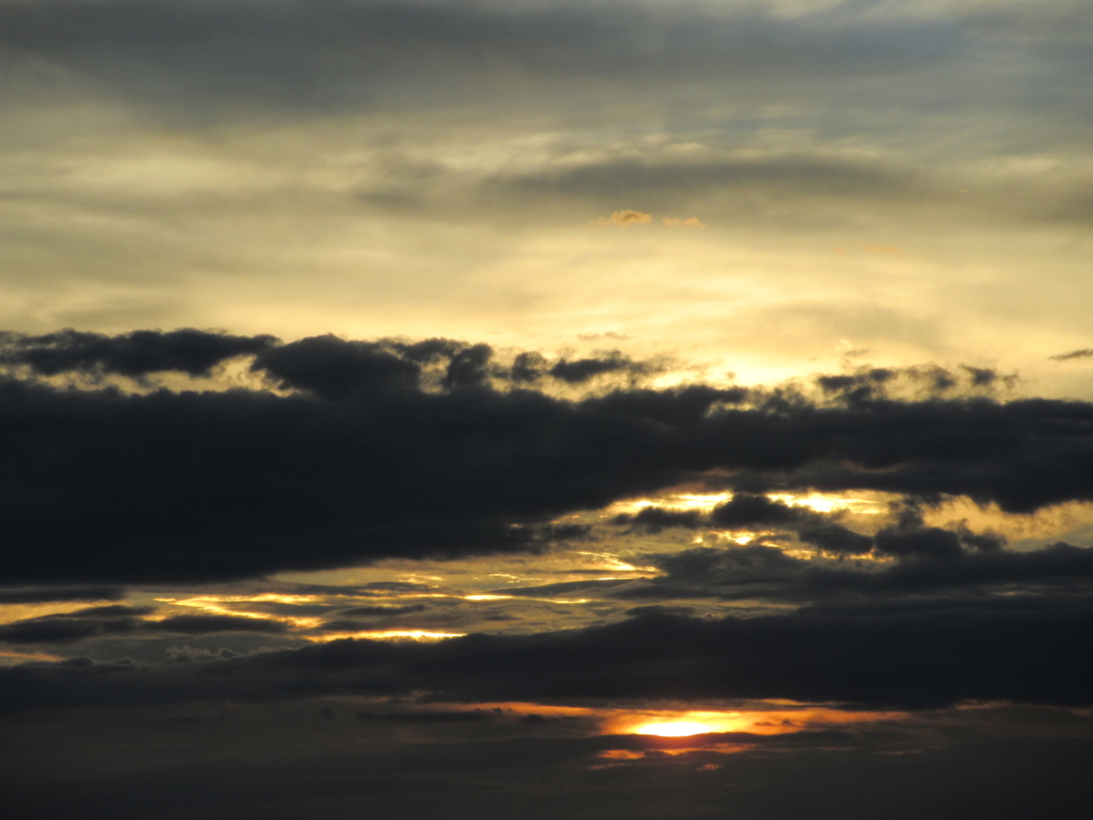 f:id:gashuu:20200810215123j:plain