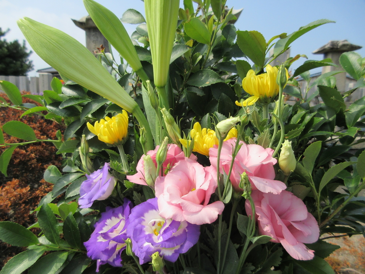 f:id:gashuu:20200831165809j:plain f:id:gashuu:20200831165809j:plain