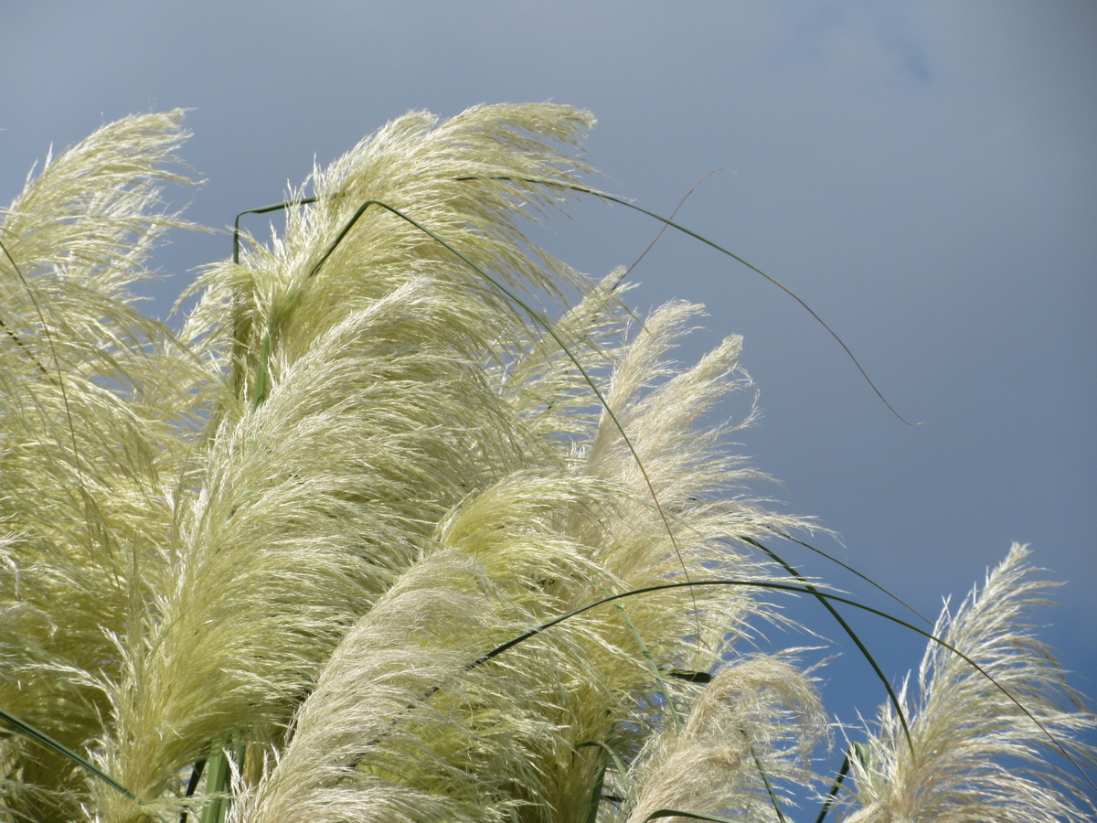 f:id:gashuu:20200901140945j:plain