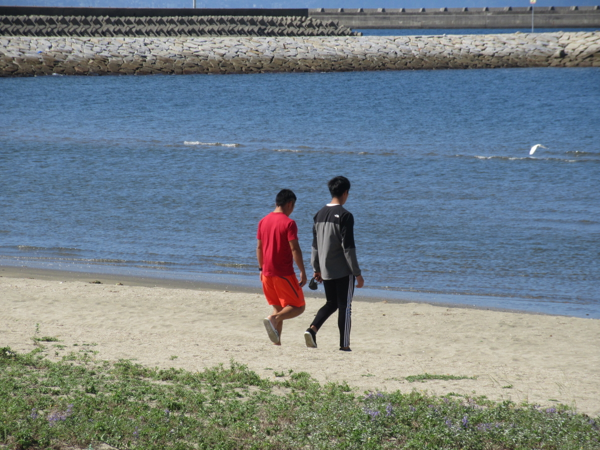 f:id:gashuu:20200929184826j:plain f:id:gashuu:20200929184826j:plain
