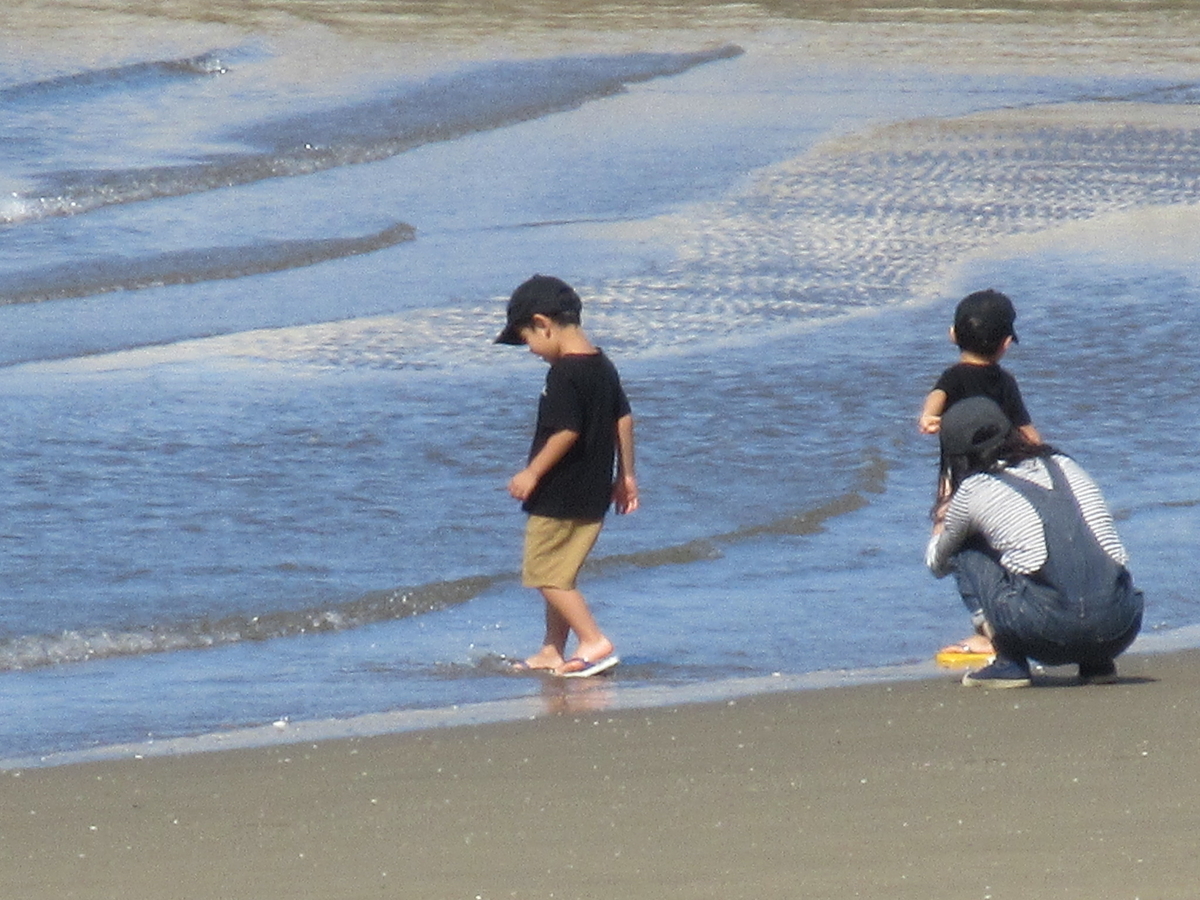 f:id:gashuu:20200929201200j:plain