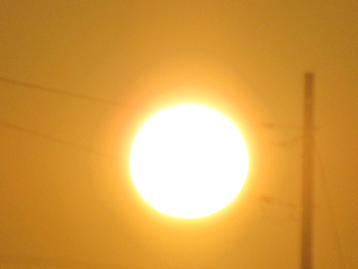 f:id:gashuu:20201008221927j:plain