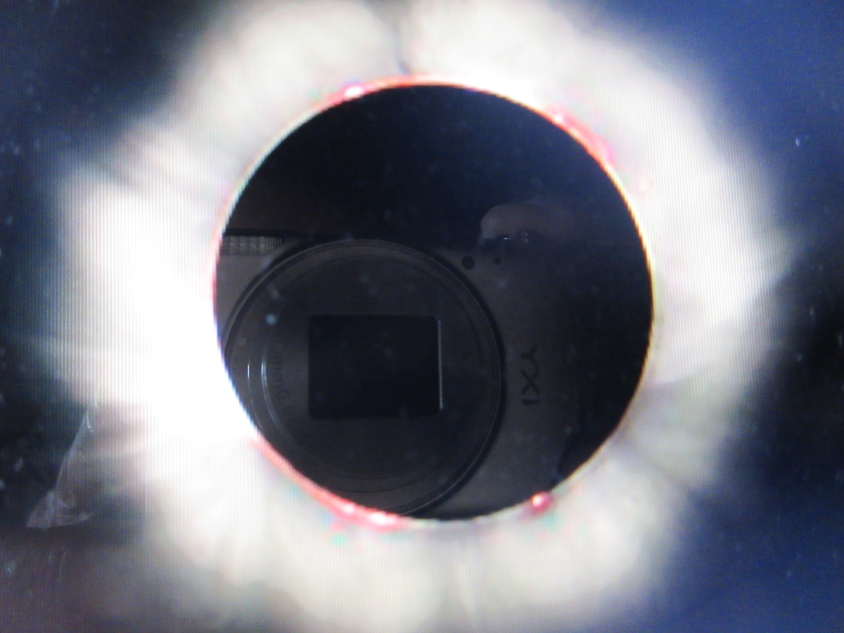 f:id:gashuu:20201008221951j:plain