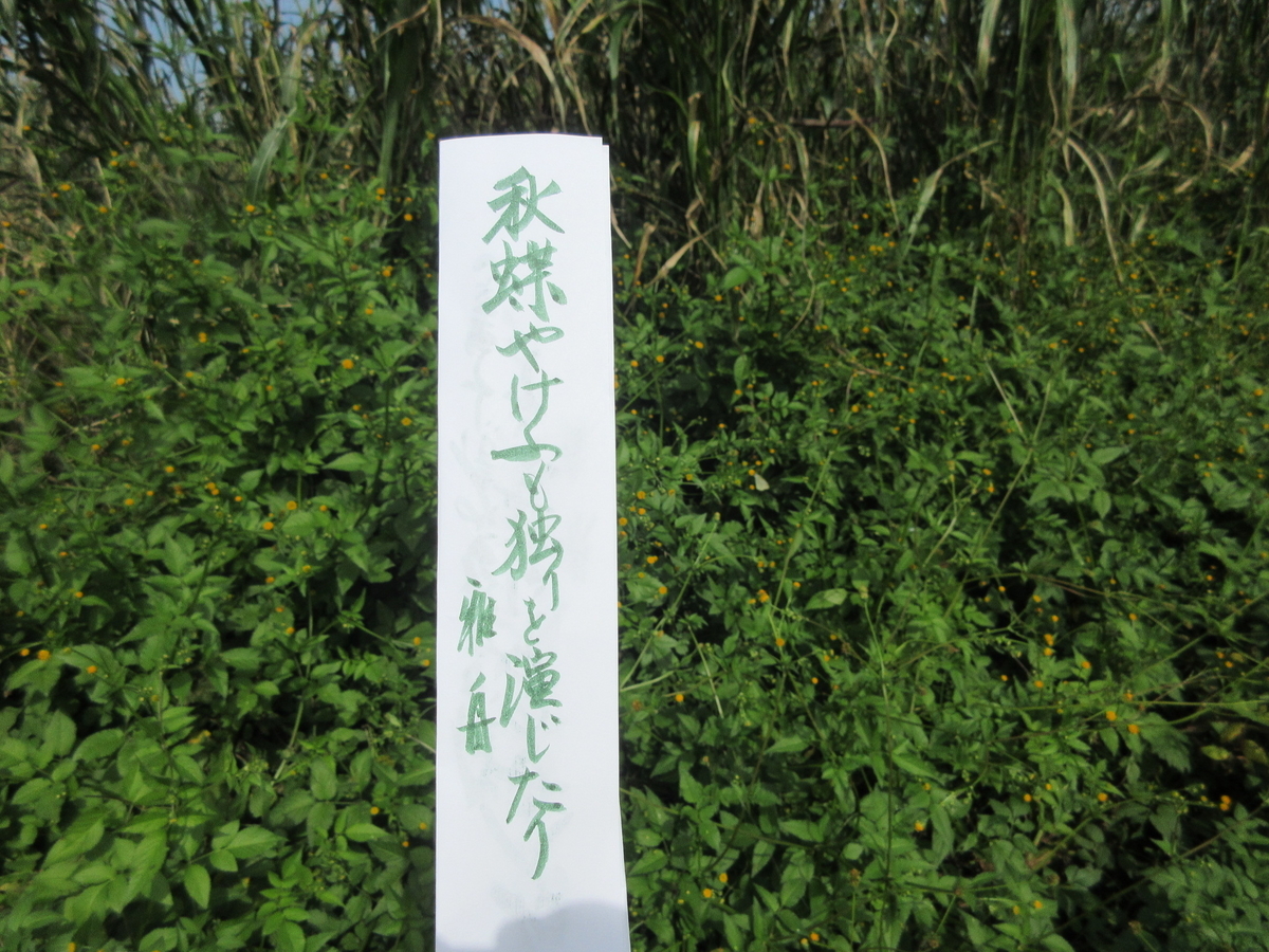 f:id:gashuu:20201016123939j:plain