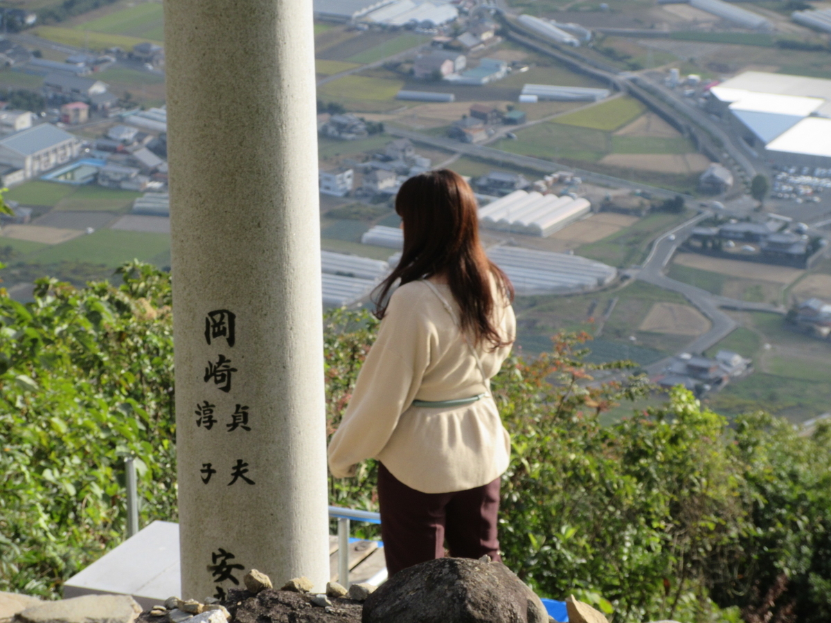 f:id:gashuu:20201019182929j:plain