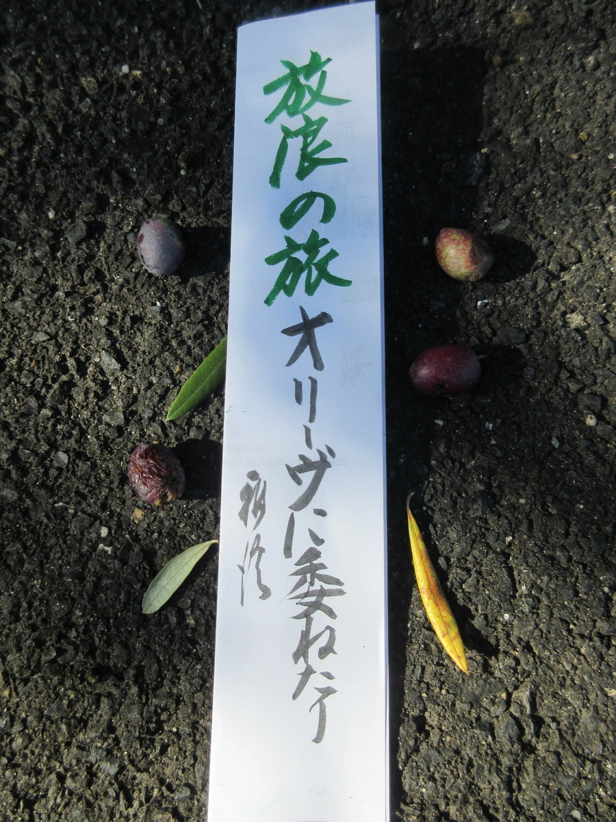 f:id:gashuu:20201026120650j:plain