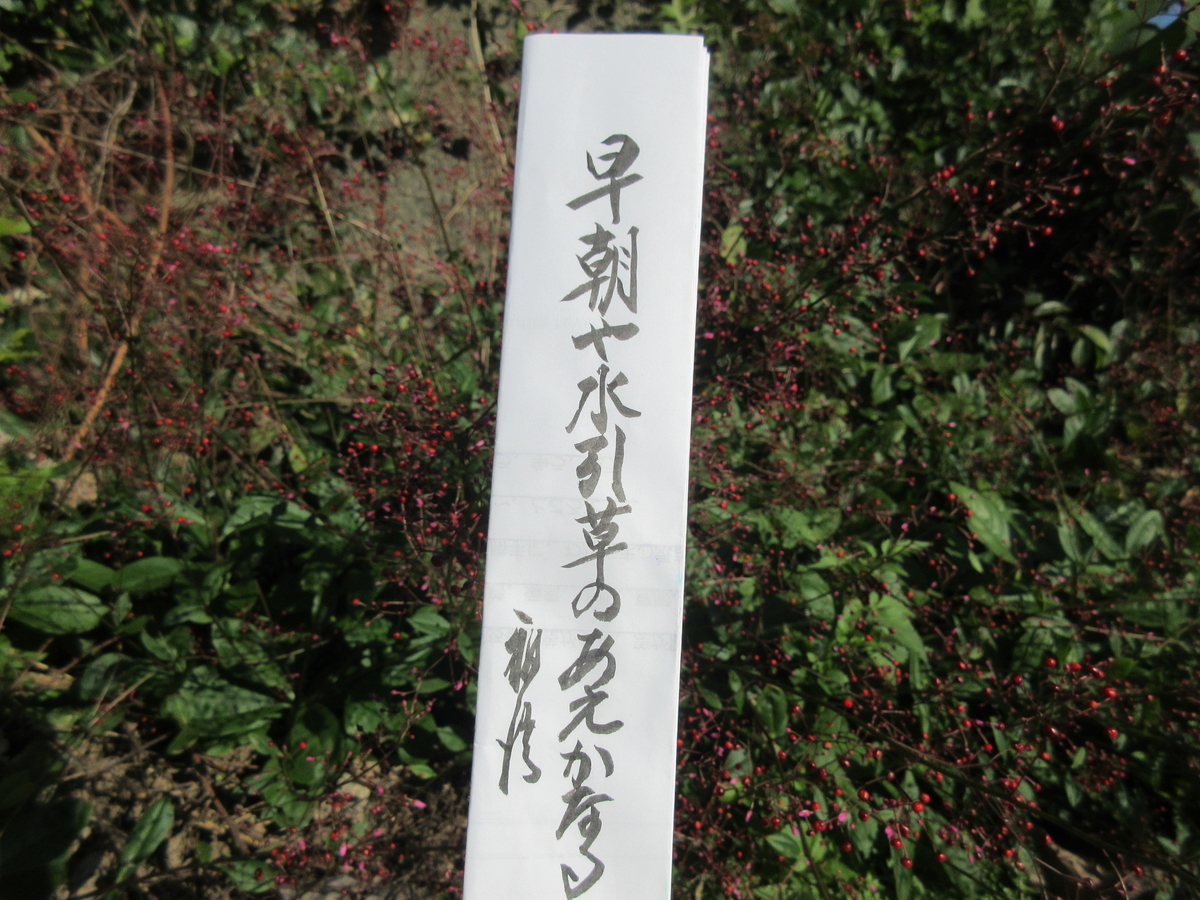 f:id:gashuu:20201026121133j:plain
