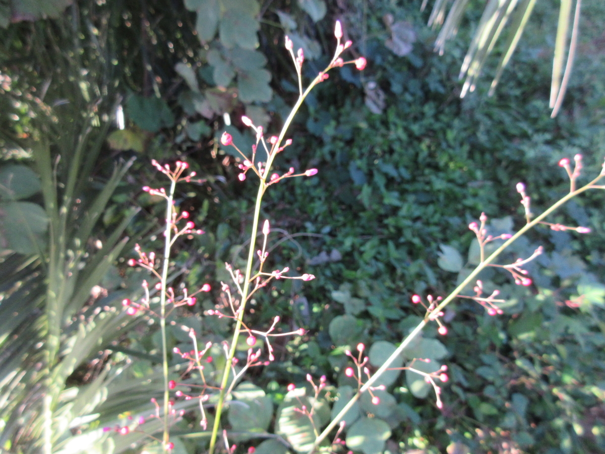 f:id:gashuu:20201026121157j:plain