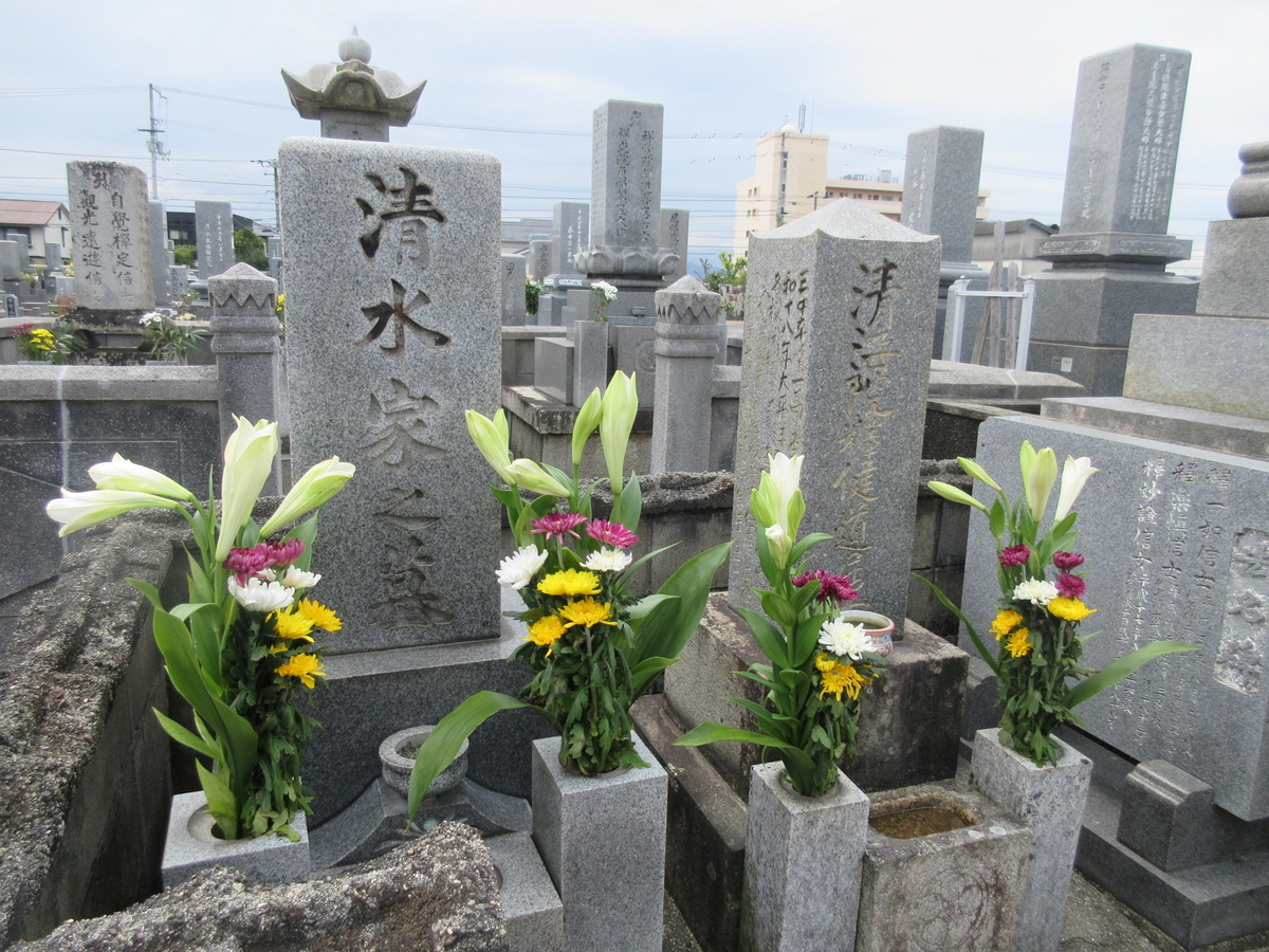 f:id:gashuu:20201026151248j:plain f:id:gashuu:20201026151248j:plain