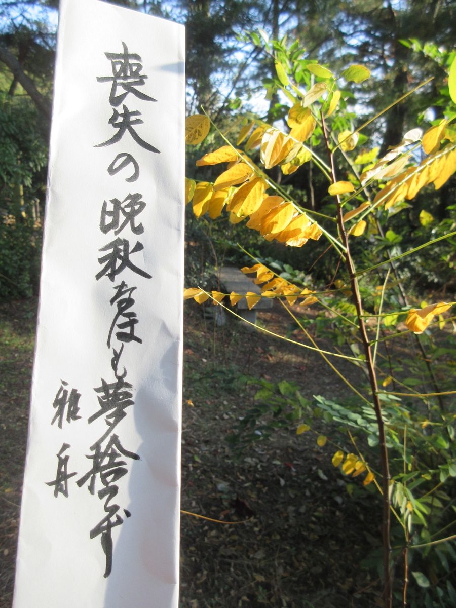 f:id:gashuu:20201123193641j:plain