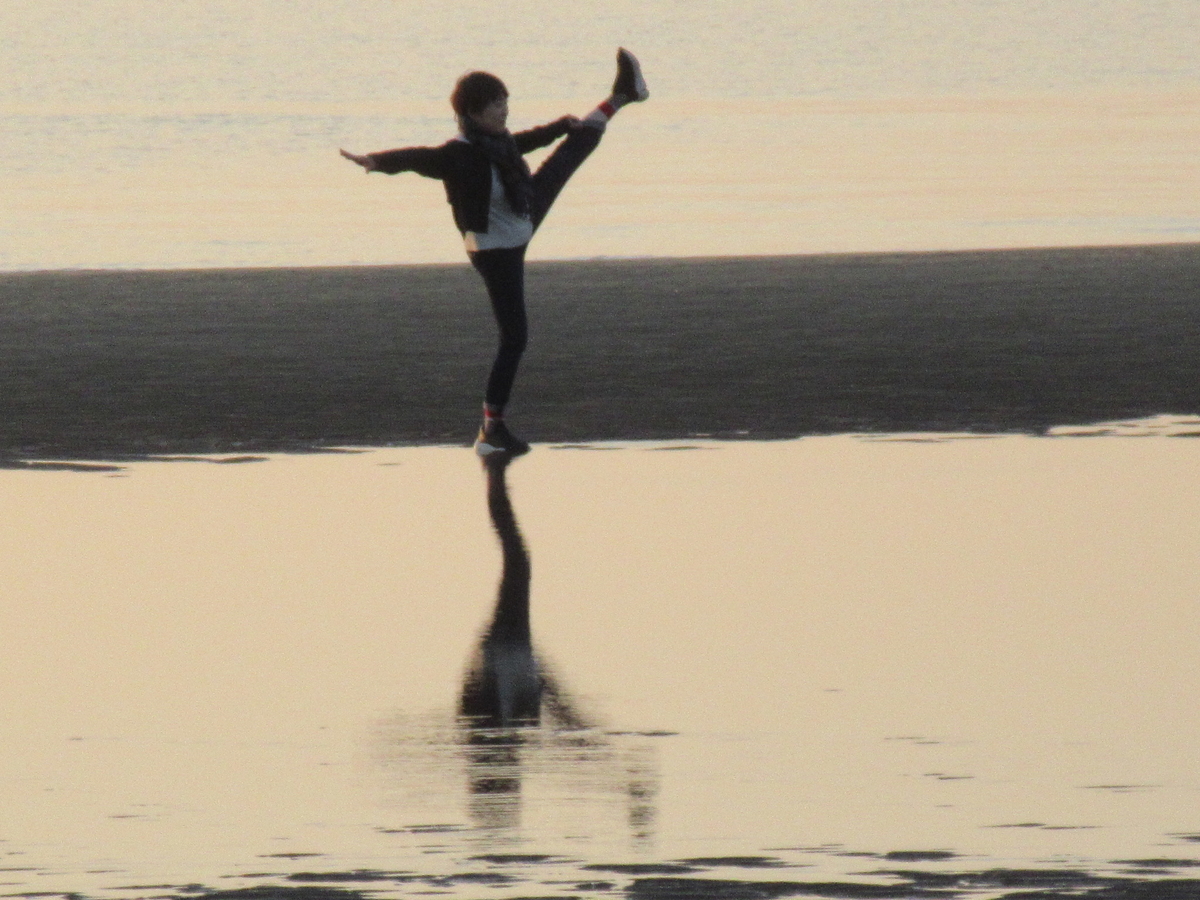 f:id:gashuu:20201213171555j:plain