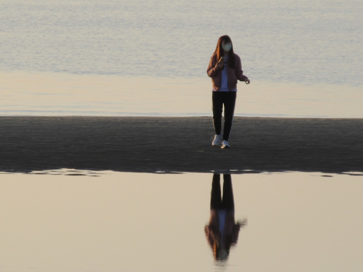 f:id:gashuu:20201213172021j:plain