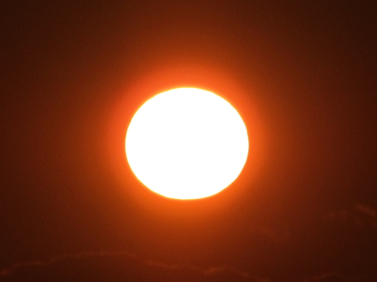 f:id:gashuu:20201218143205j:plain