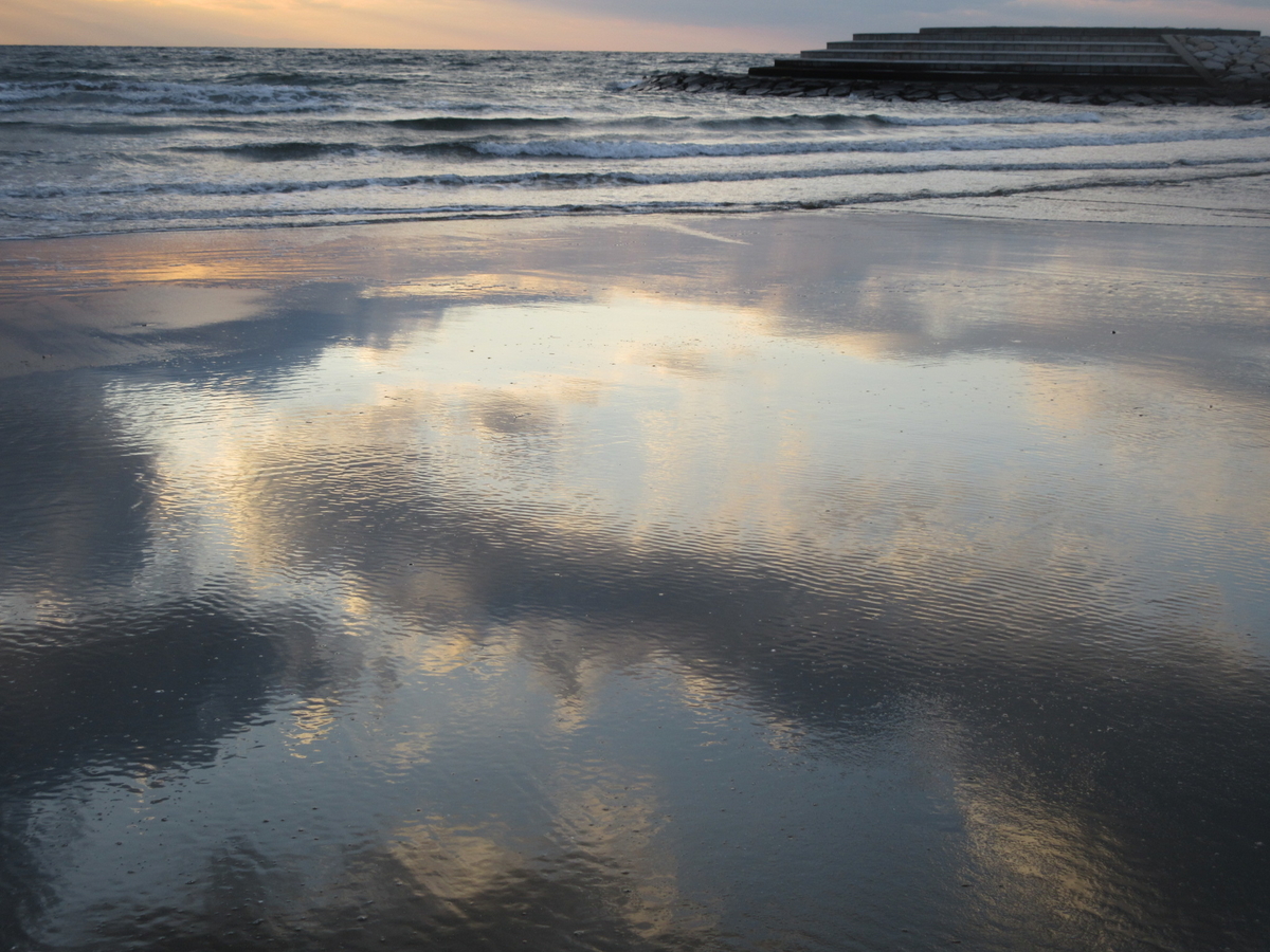 f:id:gashuu:20201218181738j:plain