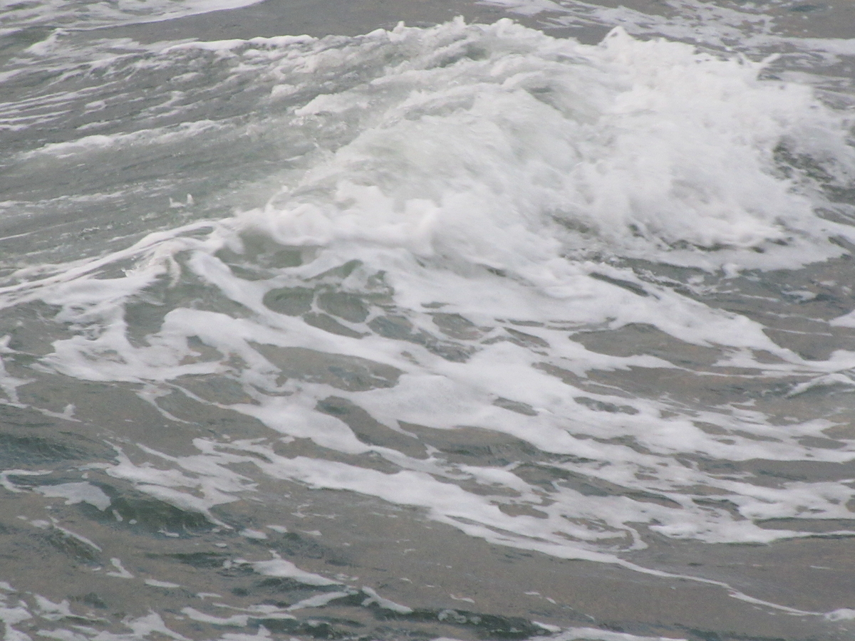 f:id:gashuu:20201218182015j:plain