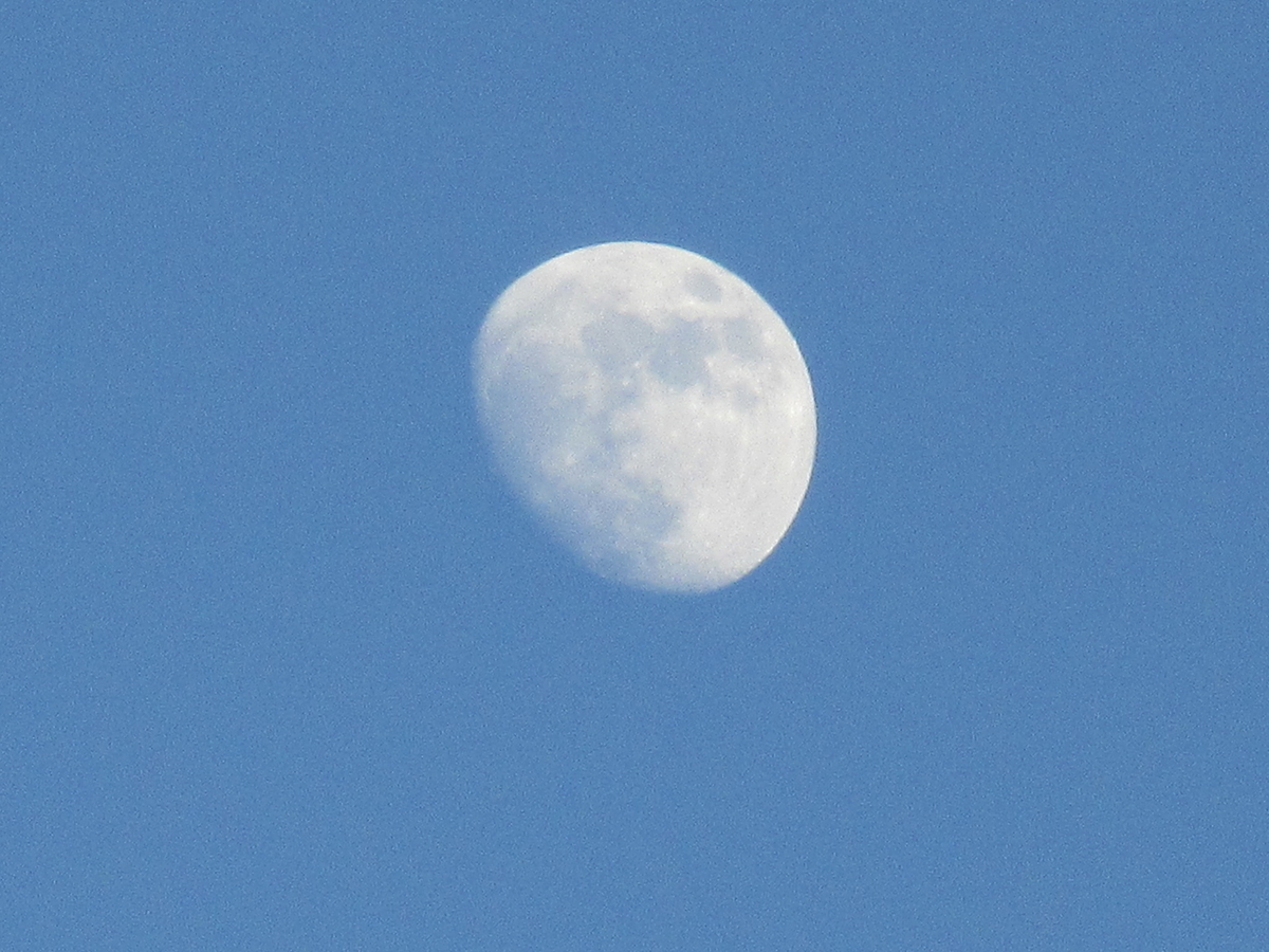 f:id:gashuu:20201226190517j:plain