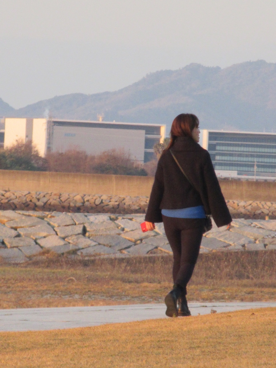 f:id:gashuu:20201226191045j:plain
