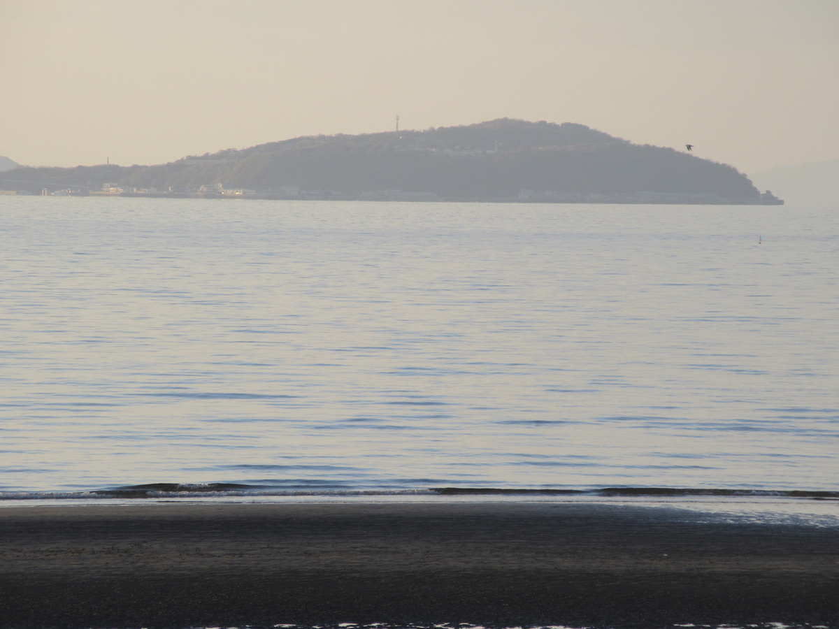 f:id:gashuu:20201226191206j:plain