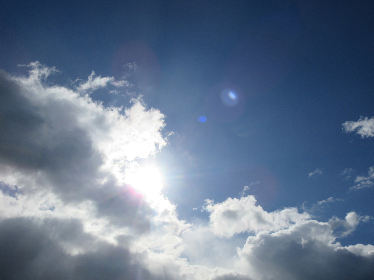 f:id:gashuu:20201231131706j:plain