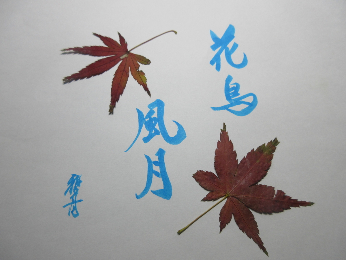 f:id:gashuu:20201231164315j:plain