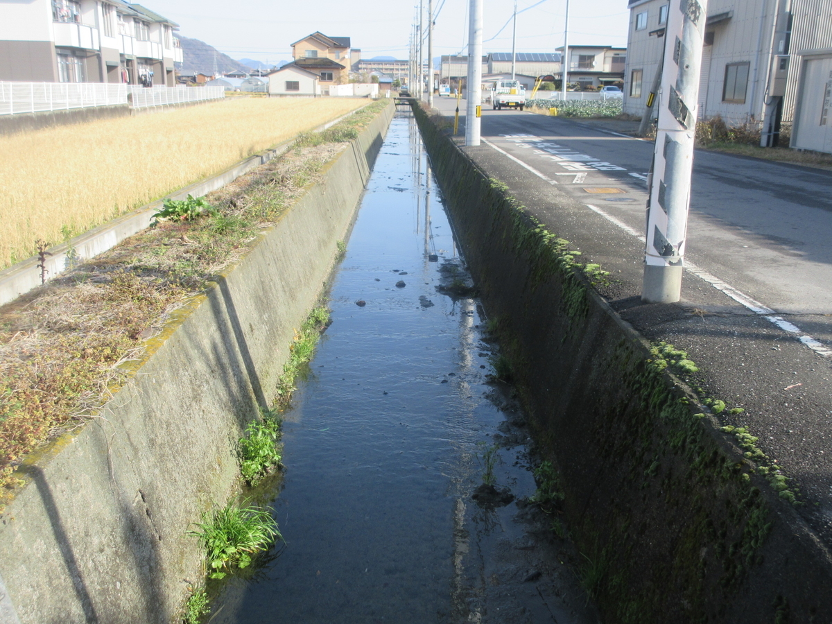 f:id:gashuu:20210125135847j:plain